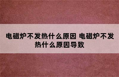 电磁炉不发热什么原因 电磁炉不发热什么原因导致